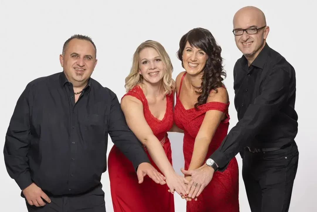 Professionelle Hochzeitsband mit Livemusik in Niederösterreich